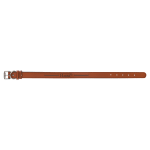 Dog Collars – Leatherette