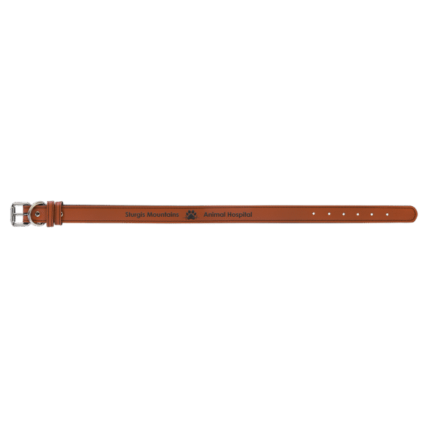 Dog Collars - Leatherette