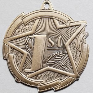 1st Place Medal