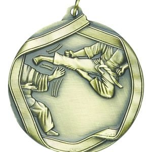 Martial Arts Medal