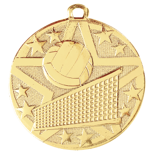 2" Volleyball Medal