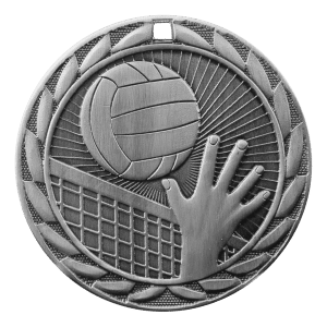2" Volleyball Medal
