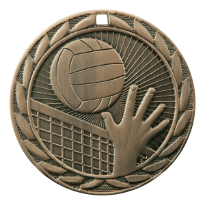 2" Volleyball Medal