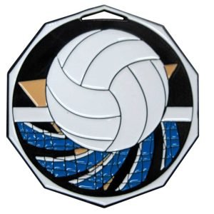 2" Volleyball Medal