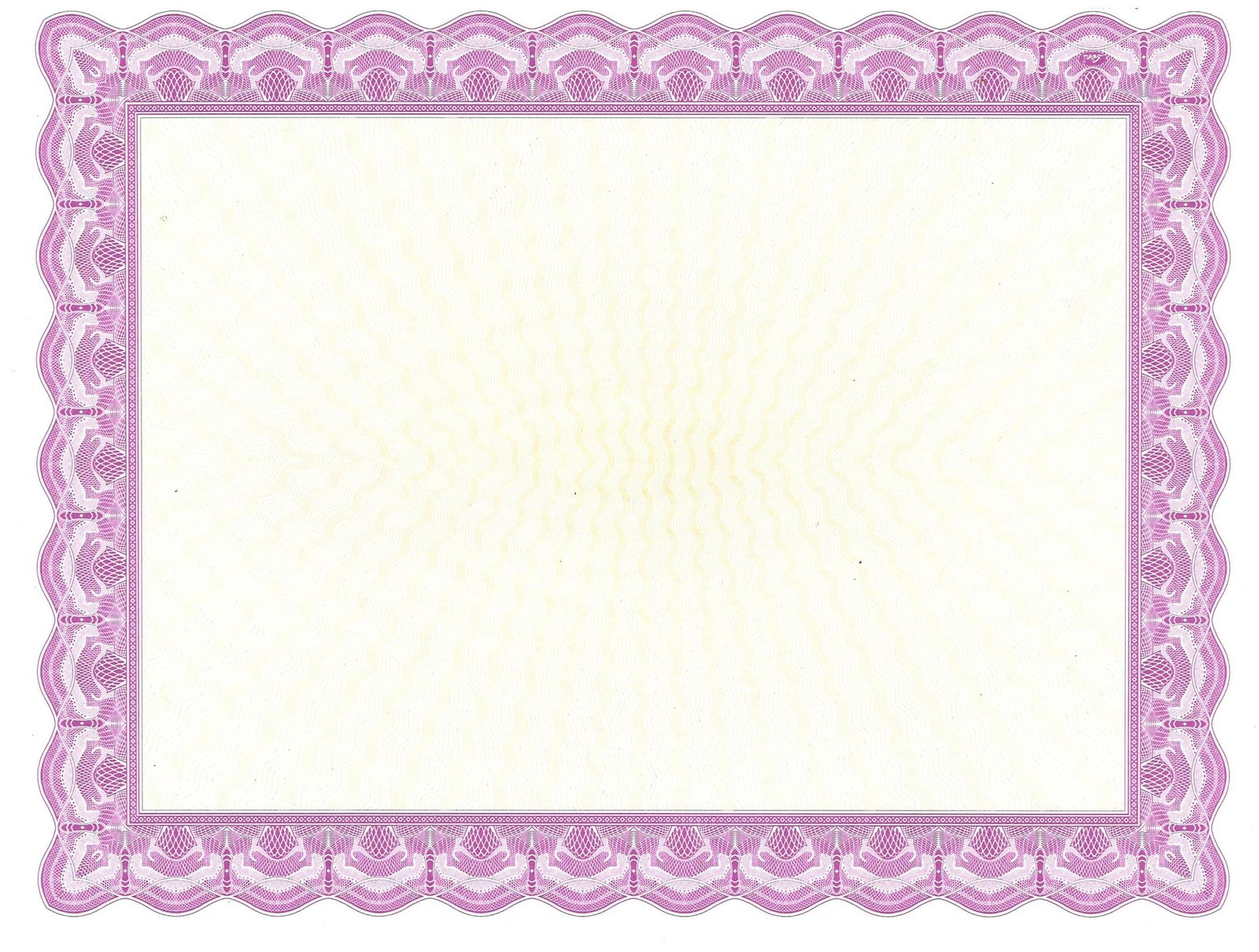 Gold Lines Violet Border