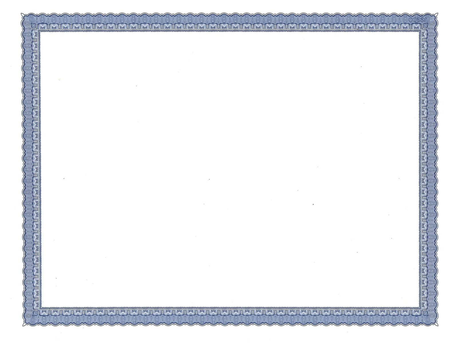 White Blue Border