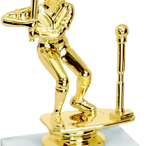 Trophies - Budget