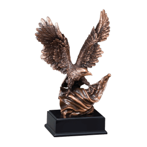 Eagle w/Flag Bronze Resin Award